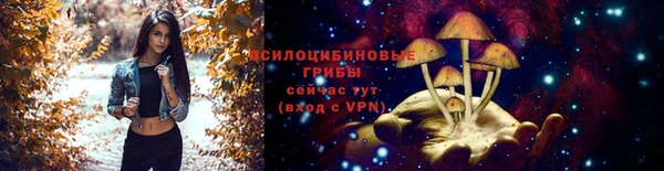 таблы Алзамай