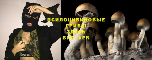 ALPHA PVP Алексин