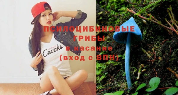 таблы Алзамай