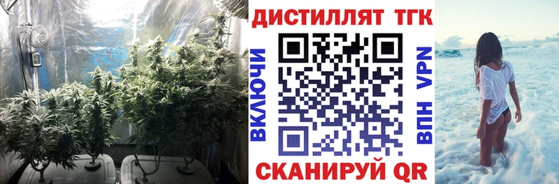 Дистиллят ТГК вейп с тгк  Светлоград 