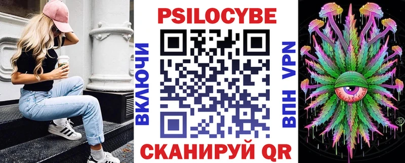 omg   как найти закладки  Светлоград  Галлюциногенные грибы Psilocybe 